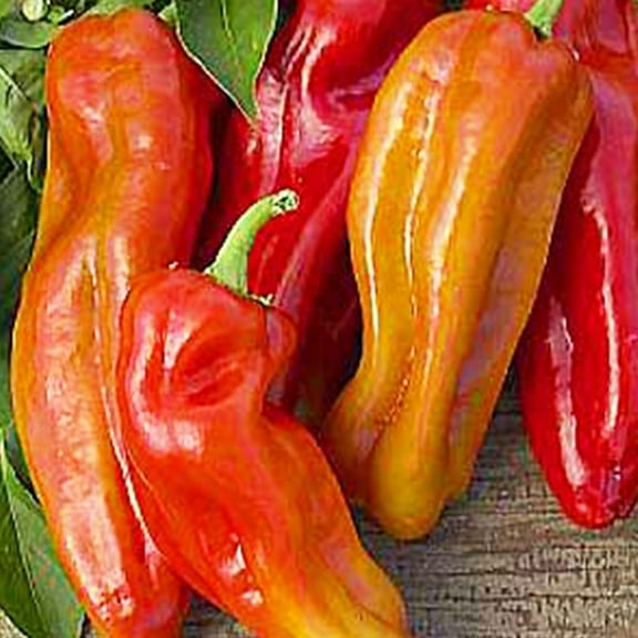 Cubanelle Pepper Seeds - 250 mg ~30 Seeds - Heirloom, Open Pollinated, Non-GMO, Farm & Vegetable Gardening Seeds - Sweet Pepper