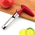 thumbnail image 1 of RV 2PCS Apple Corer, Apple Corer con mango de ABS y hoja dentada de acero inoxidable, Core Corer brillar Electrónica, 1 of 5