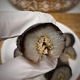 thumbnail image 2 of DOL Sun Dried Wild Caught Sea Cucumber,Black Pin Small-All Natural Nutritious Large 8oz/bag, 2 of 6