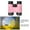 Pink, variant on Binoculars - 8x30 Folding Optics, Lightweight Rubber Eyepiece, Educational Outdoor Toy for Bird Watching & Nature Exploration(Pink)