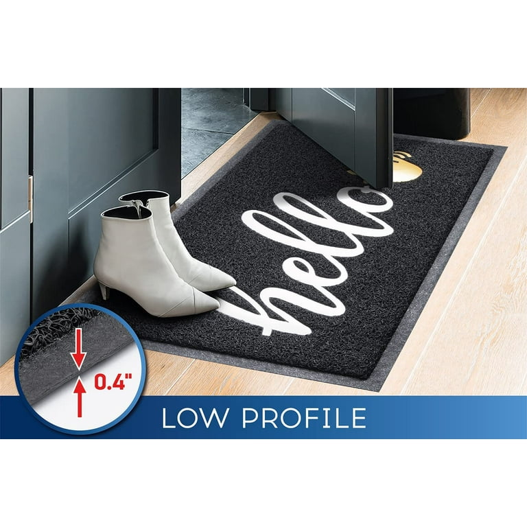  Door Mats Indoor Outdoor Mat for Home Entrance 17.5