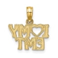 thumbnail image 4 of 14K Yellow Gold Charm Pendant Themed 9.4 mm 14.6 I Love My Emt, 4 of 4