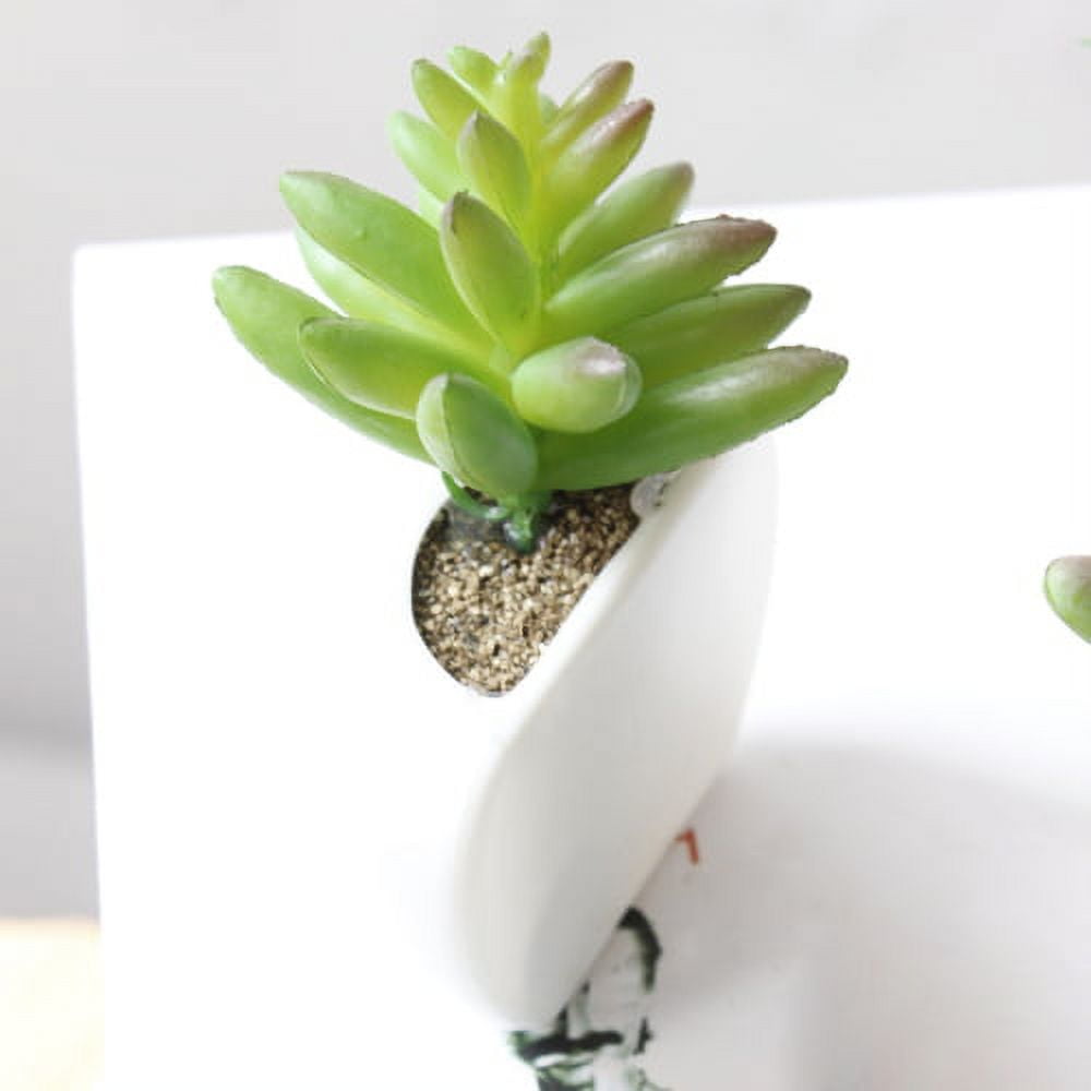 Bcloud Succulent Shape Refrigerator Magnets Removable Plastic No Scratch  Whiteboard Magnets Kitchen Decor 