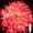 Red, variant on Christmas Fairy Lights Christmas Tree Fairy Lights, 10M 80 LED Christmas Tree String Lights Decorative Christmas Lights USB