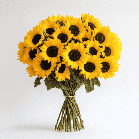 25 Stems of Sunflowers- Fresh Flower Delivery 25 Stems of Sunflowers- Fresh Flower Delivery