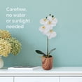 thumbnail image 4 of Home Accents 16-Inch Artificial Real Touch Phalaenopsis Orchid in Faux Wood Cement Pot, 4 of 6