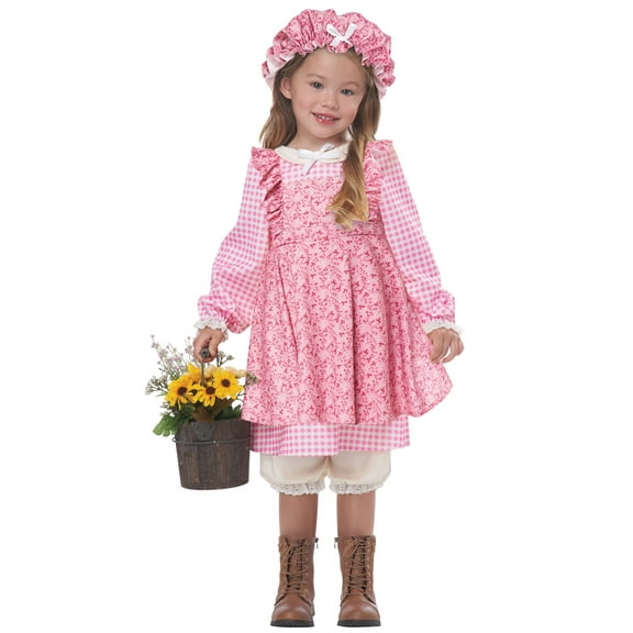 Kids Girl's Toddler Prairie Colonial Costume