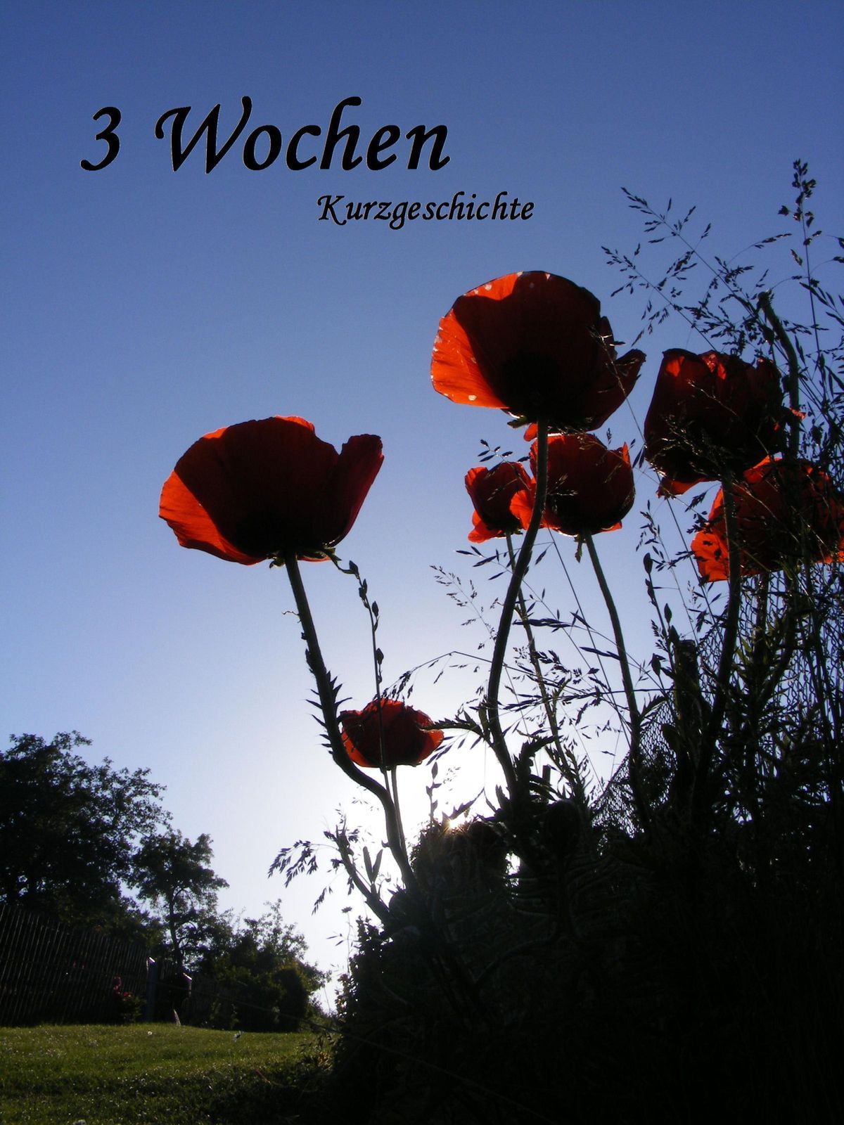 Drei Wochen Drei Wochen