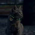 4 Pack Breakaway Cat Collar with Glow in The Dark Adjustable Kitten Collars with for Cats Puppy