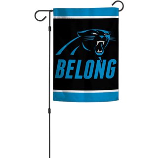 WinCraft Carolina Panthers 24 x 38 Championship Banner