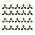 thumbnail image 1 of Kits de decoración para fiestas Naiovety 20 piezas Navidad acebo artificial 10MM, 1 of 6