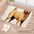 thumbnail image 5 of Dog Polyester Non-Slip Machine Washable Outdoor Floor Rug Chair Rugs Bath Rugs, 5 of 6