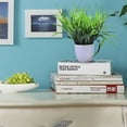 thumbnail image 4 of destyer Artificical Plant Indoor Table artificial Plant Pot Home Decor Simulation Potted Plant, Middle, 4 of 7