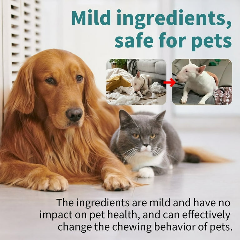 Dog Trainer How To Get Your Dog To Stop Eating Shoes No Chew Spray