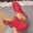 Red, variant on Womens Slide Sandals Low Wedge Comfortable Breathable Casual Everyday Mules Slip On Red,Size 7.5