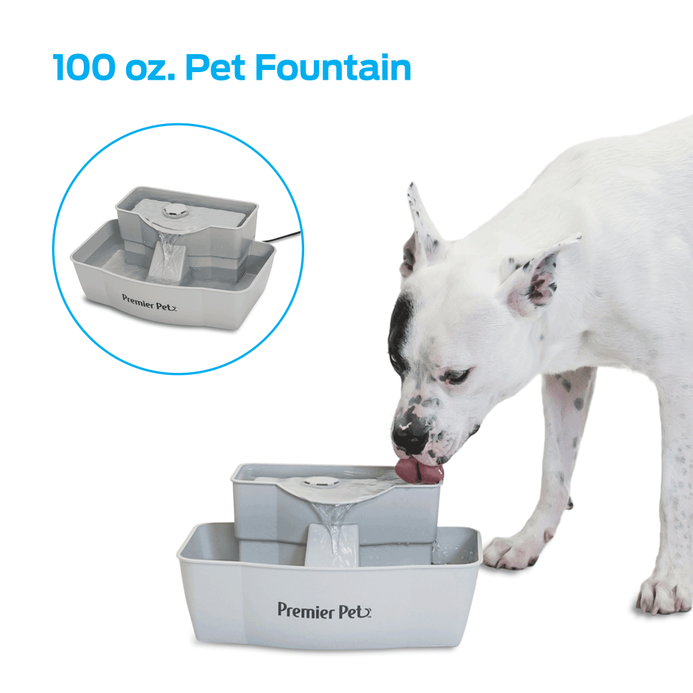 Premier Pet 100 oz. Pet Fountain Automatic Water Fountain for Dogs
