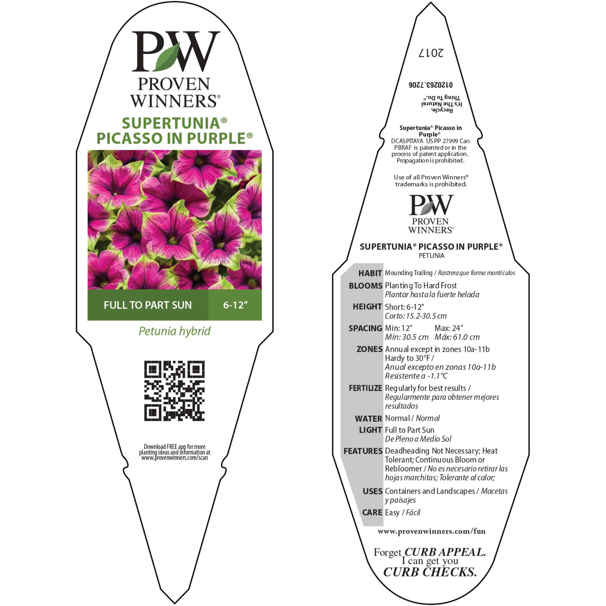 Proven Winners 4" Supertunia Picasso in Purple Petunia Live Plant in 4.25" Pot (4 Count)