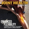thumbnail image 6 of Cybergenics Post-Workout Gummies, Recovery Accelerator, Support Muscle Recovery & Joint Health, Essential Amino Acids, with Ashwagandha & Curcumin, BCAAs, Citrus Flavor, 60 Gummies, 30 Servings, 6 of 8