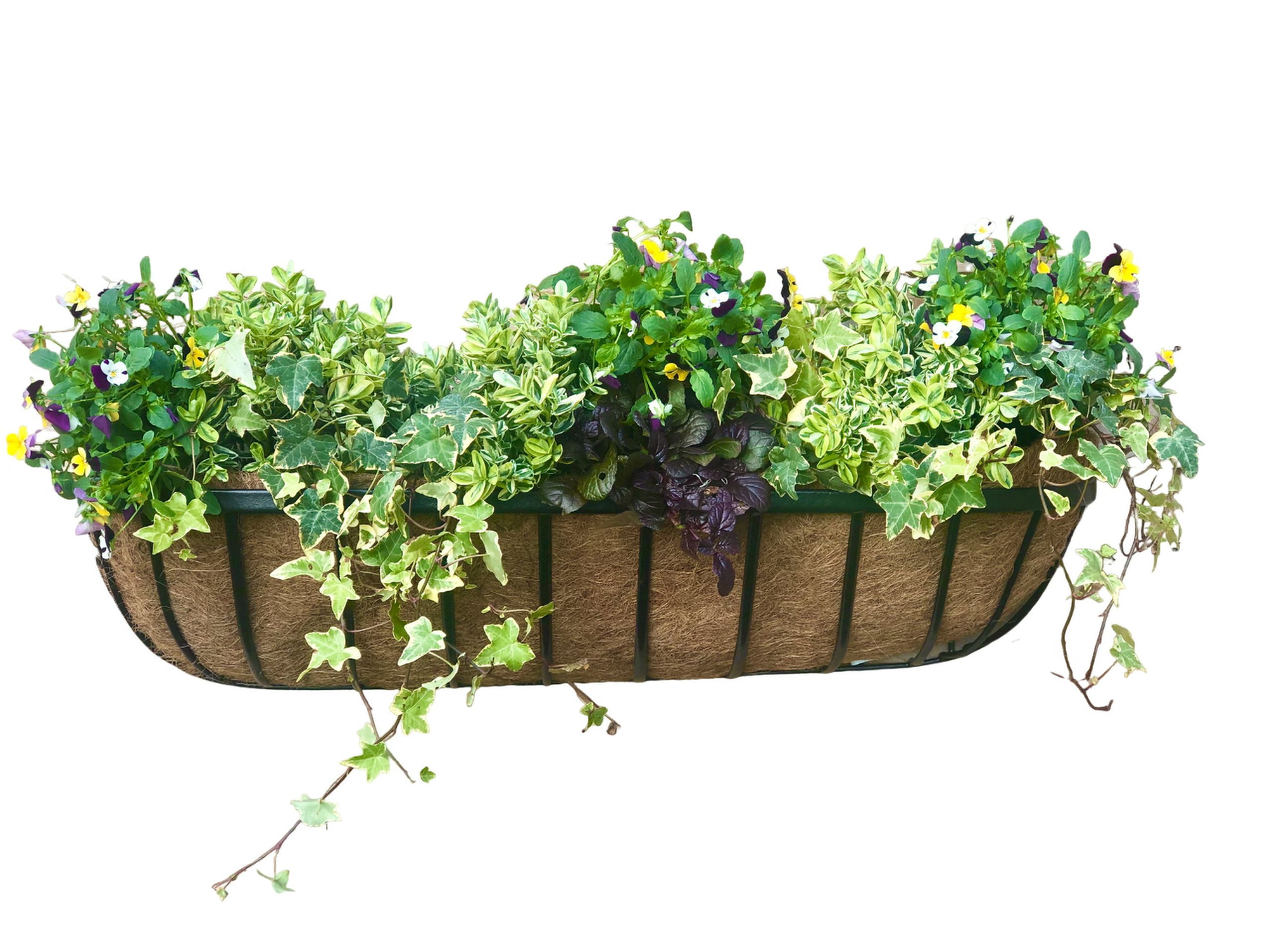 Cambridge Premium Wall Trough 36" x 8" x 7" Black Coco Liner Planter Boxes with Flattened Slat Styling