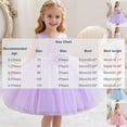 thumbnail image 3 of Little Girls 0-5Y Sleeveless A-Line Sequin Tulle Dress, Flower Decorated Princess Gown for Wedding Ceremony, Pageants & Evening Shows Hot Pink 3 Years, 3 of 7
