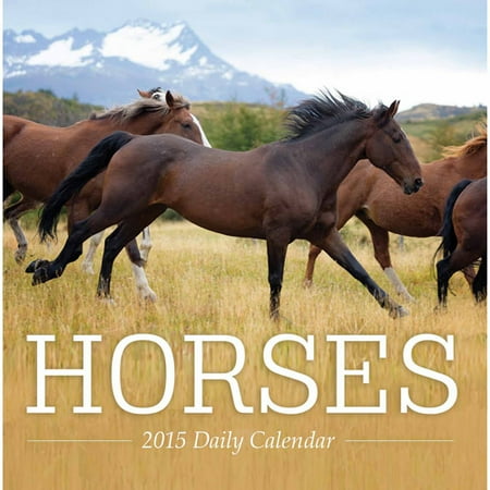 Horses 2015 Daily Boxed Calendar Walmart Com