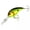 Chartreuse Black Back Scales, variant on Bandit 300 Series