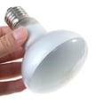 thumbnail image 1 of Uva + uvb lámpara de reptil bombilla tortuga tomando el sol bombillas de luz ultravioleta lámpara de calefacción anfibios lagartos controlador de temperatura - 50W Kuyhfg Sin marca, 1 of 5