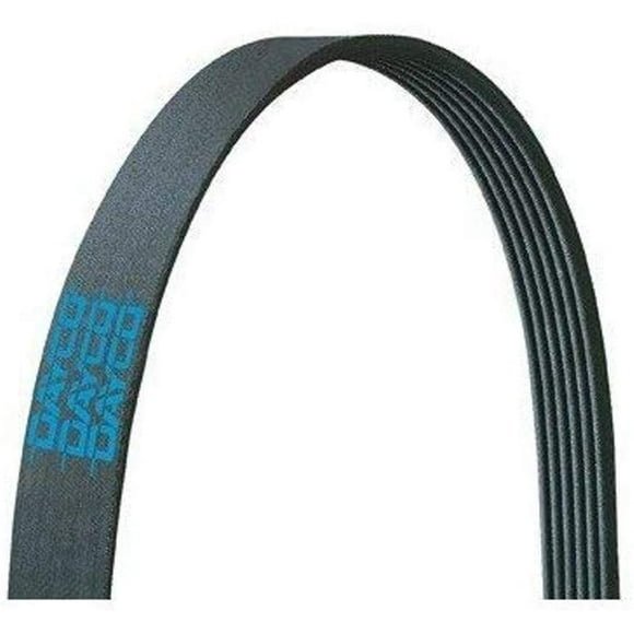 Dayco Rite d'Entraînement 5060418DR Ceinture Serpentine