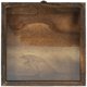 thumbnail image 3 of Vintage Style Transparent Insect Specimen Display Box for Plant, Dried Flower Collections & Collectibles – Dustproof Storage Case for Organizing, 3 of 5