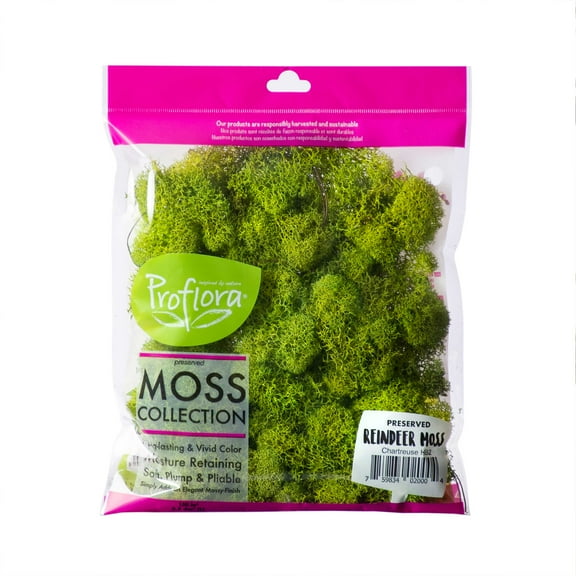 ProFlora Preserved Reindeer Moss, Chartreuse Green