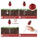 thumbnail image 2 of Buscador de suelo 3 en 1, prueba de suelo de mariquita, luz de humedad, iluminación, acidez, alcalinidad, horticultura, plantación, instrumento de suelo 24*6*3,5 cm, 2 of 4