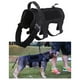 thumbnail image 5 of Arnés de servicio para perros, arnés de chaleco para mascotas fácil de poner y quitar, Halters ajustables transpirables para mascotas para L Colco chaleco de arnés para perros, 5 of 8