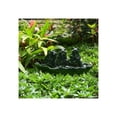 thumbnail image 4 of Decorative Frog Bird Feeder Bowl for House Garden Display - Ceramic Bird Bath Dish for Yard and Outdoors Accent -Cute Animal Design Bird Feeders for Patio, Lawn & Outside Decor - 6", Green, 4 of 9