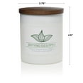 thumbnail image 4 of Colonial Candle Wellness Soothing Eucalyptus Candle, 2 Wick, 16 oz, 60 Hours Burn, Woody & Earthy, 4 of 7