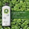 thumbnail image 3 of Acondicionador Herbal Essences Detox Té Verde & Menta 600 ml, 3 of 5