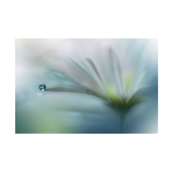 Canvas Wall Art - Juliana Nan 'Fields Of Hope ' Wall Art for Living Room, Bedroom, or Office D?cor by Trademark Fine Art - 19 x 12 Inches