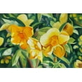thumbnail image 2 of Stevenson, Graeme 14x11 White Modern Wood Framed Museum Art Print Titled - Yellow Bloom, 2 of 4