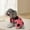 PK2, variant on Dog Clothes Pet Dog Clothing Home Clothing Pet Clothing Pajamas Plush Pet Clothing Fall Dog Pajamas Bathrobe