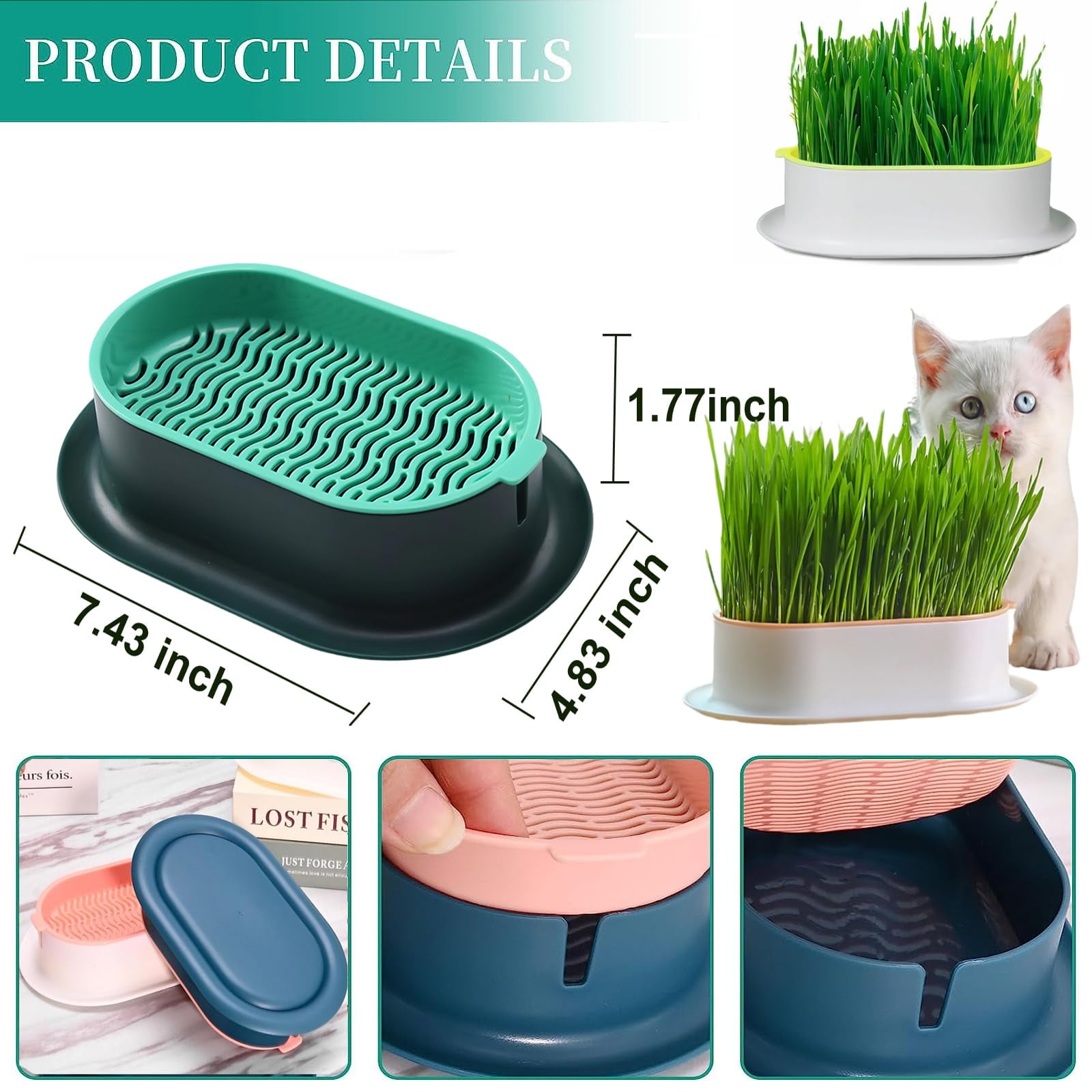Bac Hydroponique Herbe à Chat - Plastique Vert - 16,4x8,8x5,1 Cm - Pour Plantation Intérieure Sans Terre