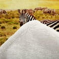 thumbnail image 6 of Yibo Watercolour Painting of Bay Fox Blanket Flannel Soft and Comfortable Anti-static Bed Sofa Blanket, 6 of 7