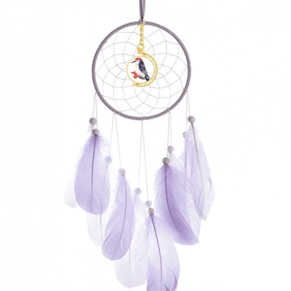 Bird Animal Magpie Redhead Dream Catcher Wall Hanging Feather Decor -  