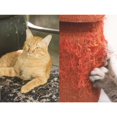 thumbnail image 3 of 2pcs 5Mx6.35cm Furniture Guard Cat Scratch Protector Anti-Scratch Tape Roll Cat Scratch Prevention Clear Sticker, 3 of 5