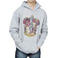 thumbnail image 3 of Harry Potter Boys Gryffindor Distressed Crest Hoodie, 3 of 5