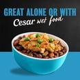 thumbnail image 5 of Cesar Chicken Flavor and Vegetable Garnish Small Breed Dry Dog Food Chicken, 5 lb Bag, 5 of 11
