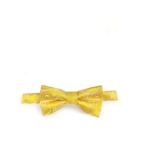 Classic Formal Aspen Gold Paisley Bow Tie