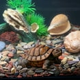 thumbnail image 4 of FUYPSE 2026 New Arrival Weather-Resistant Resin Turtle Statue Decoration, Exquisite Handicraft, Artistic Simulation Animal Sculpture, Suitable for Outdoor Gardens, Courtyards, Ponds, Decoration Gifts, 4 of 7