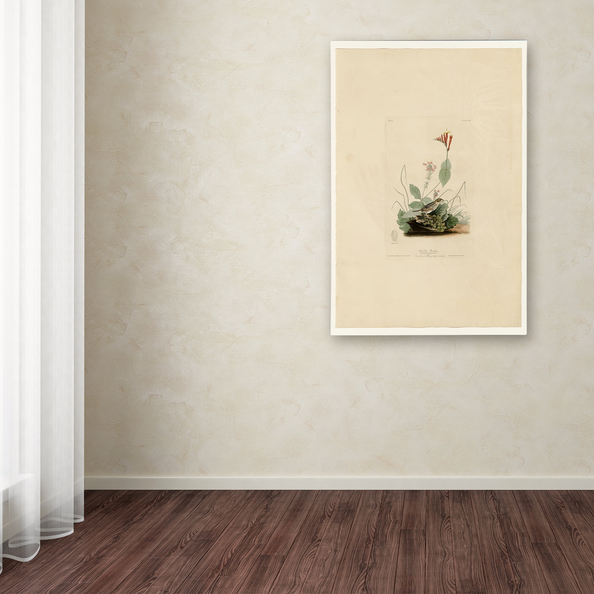 Henslows Buntingplate 70' Canvas Art by Audubon