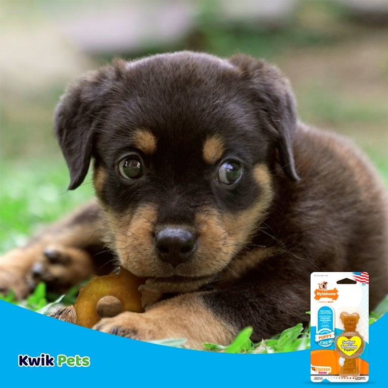 Nylabone just for puppies ring bone hotsell