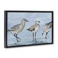 thumbnail image 2 of Stupell Industries Transitional Sandpipers Beach Coastal Scene Black Floating Frame Canvas Art, 25 x 17, by Lorenzo Collective, 2 of 8