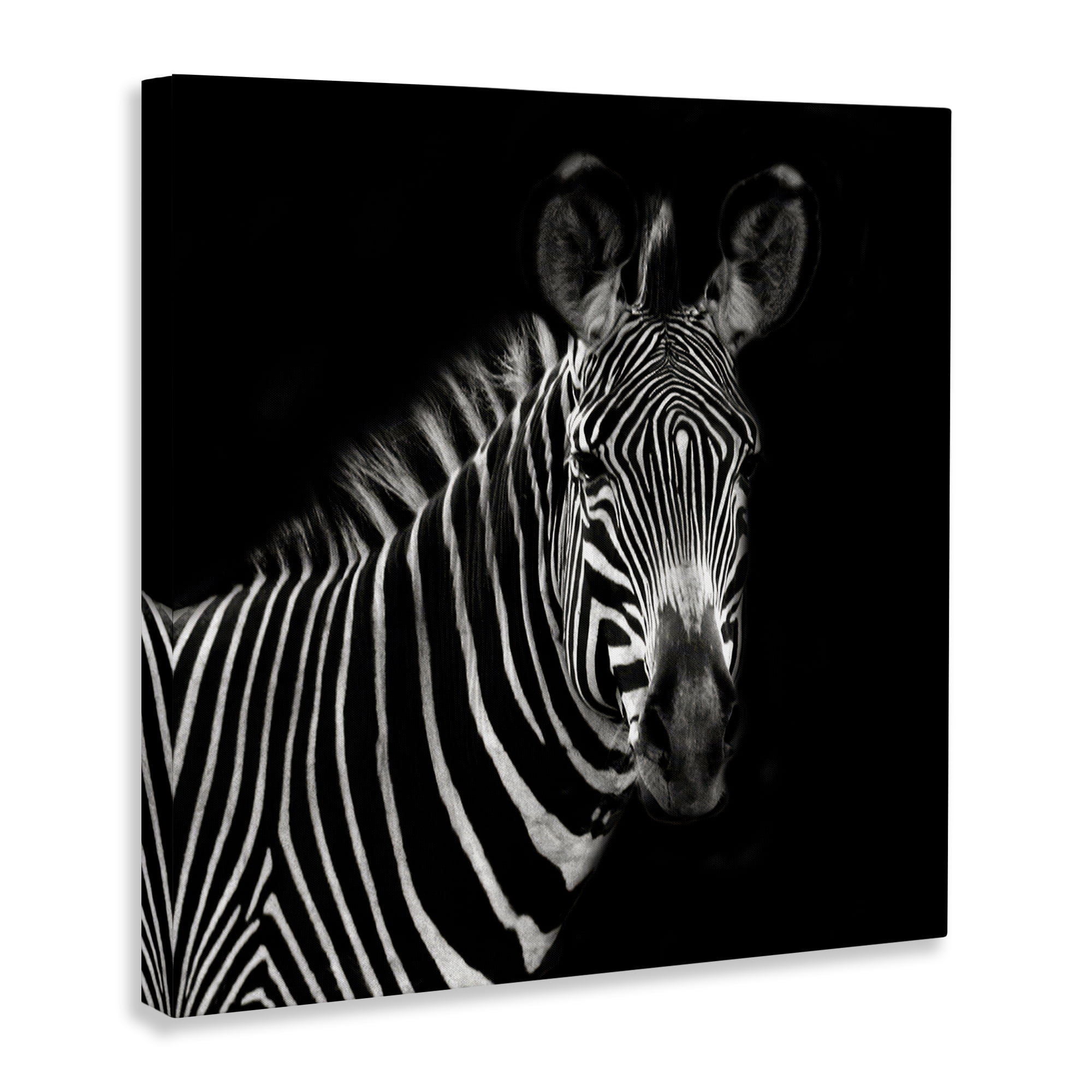 Stupell Industries Jungle Zebra Portrait Animals Photography Wrapped Canvas Art Print Wall Art, 30 x 30